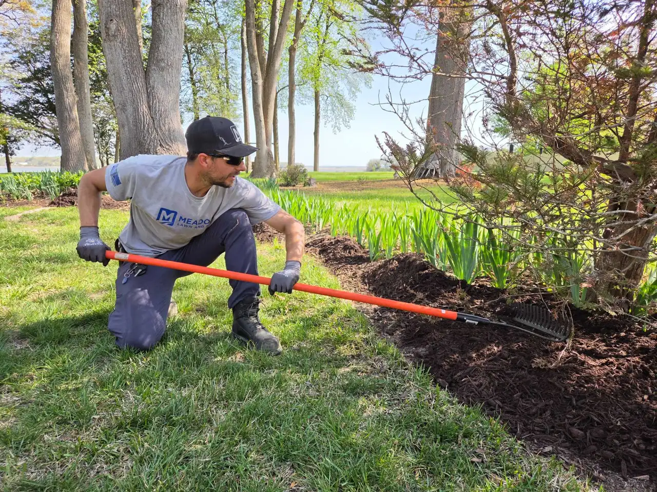 Landscaper raking fresh mulch into a shrub bed at a Newport News waterfront yard